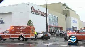 Valentina Orellana Peralta