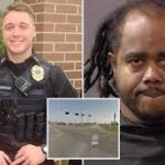 Carl Roy Webb Boards II