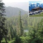 Thomas Bernier-Villeneuve