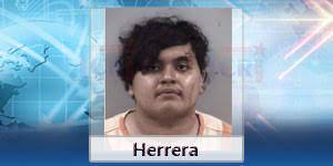 William Hayden Fitzpatrick